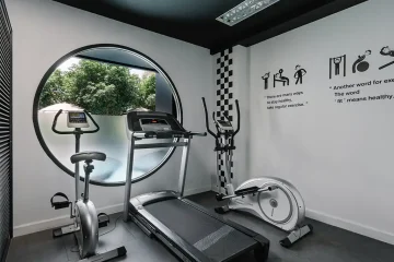 Monkey gym